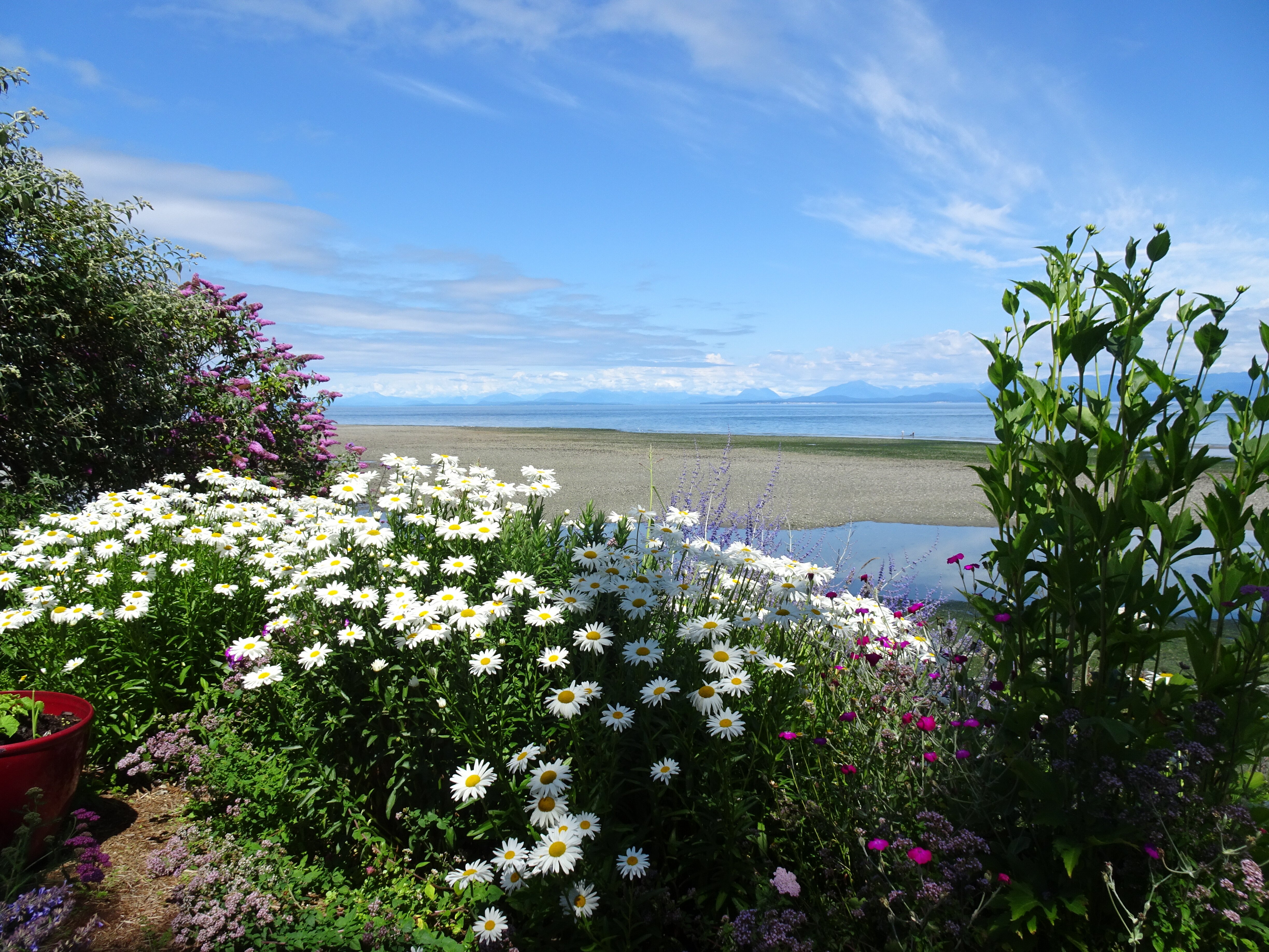 Bella's Beachfront B&B-浴室