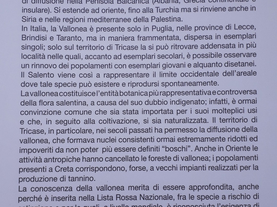 Quercia Vallonea-Tricase必去景点
