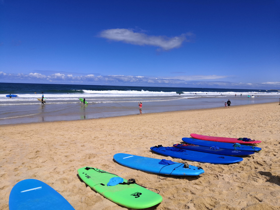 Sharkpool Surf School景点图片