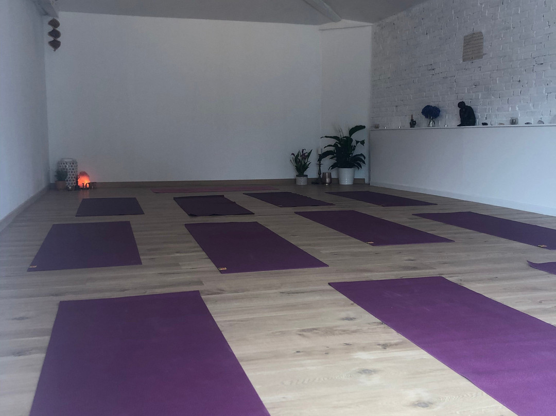 The Yoga House Seignosse景点图片