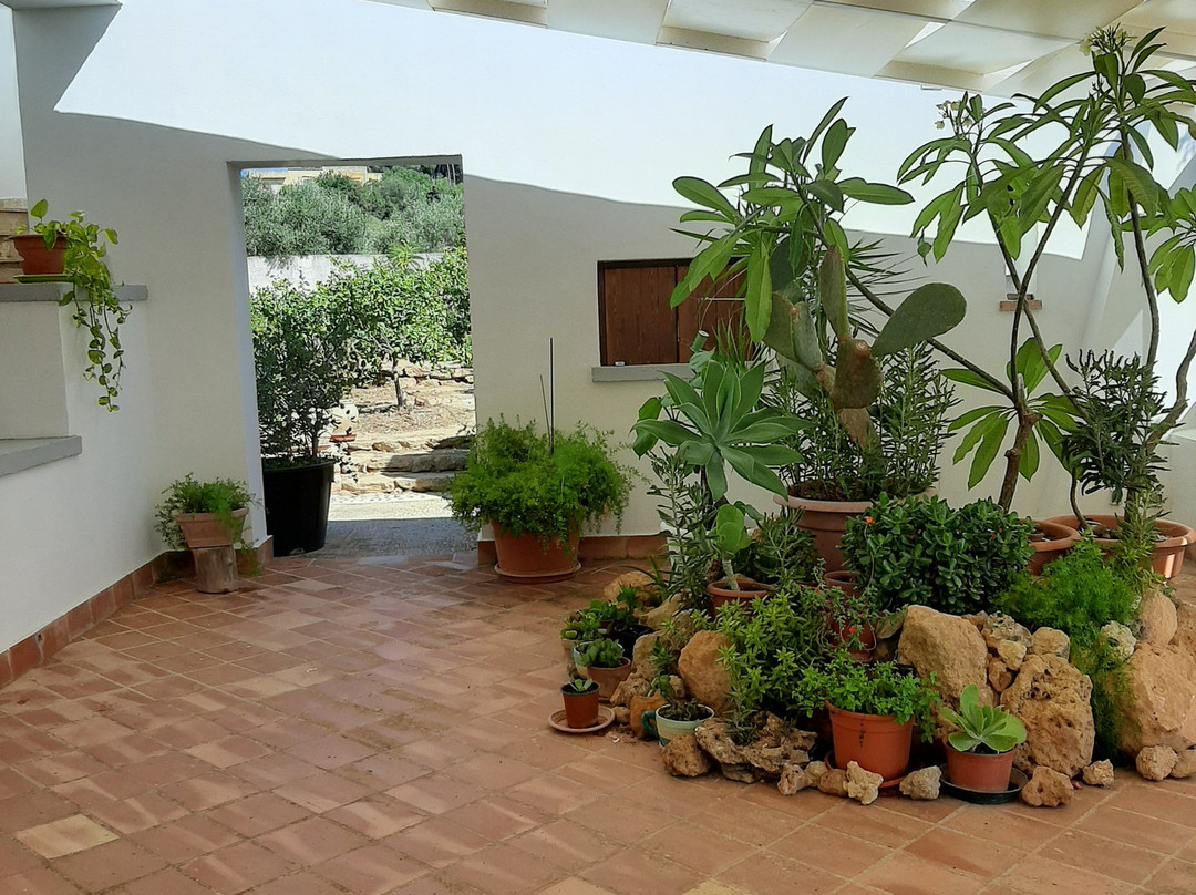 B&B CasaSolare Rakalia主图