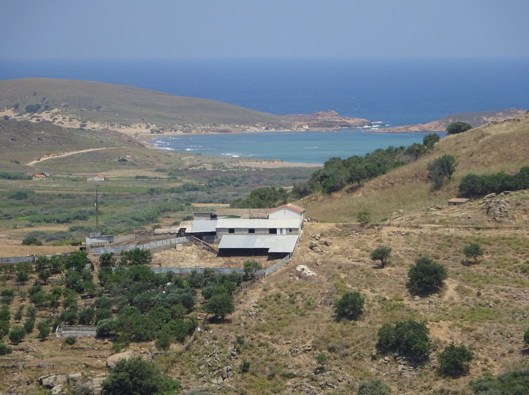 Gomati beach-Atsiki必去景点