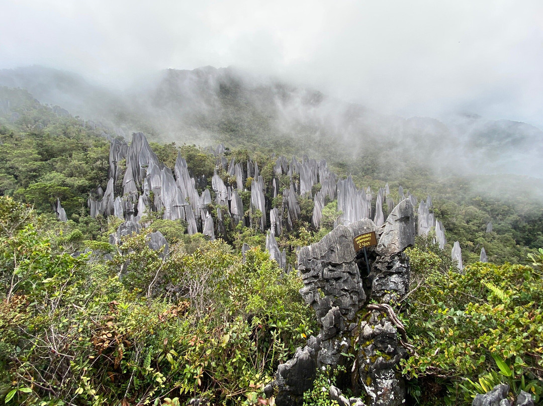 The Pinnacles Trail景点图片