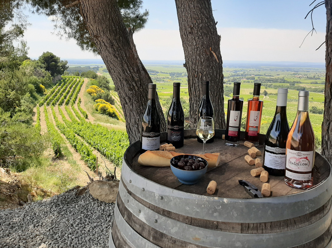 Domaine Beau Mistral景点图片