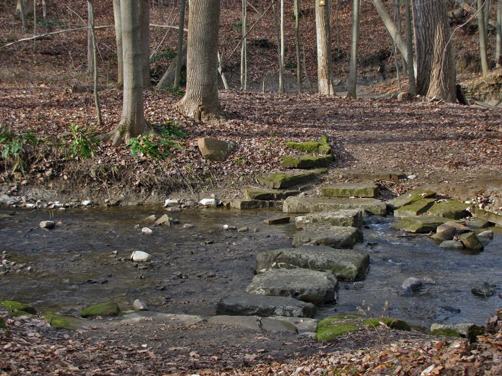 Allardale-Medina必去景点