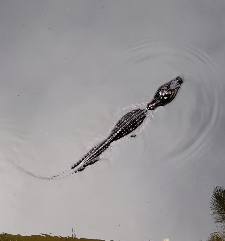 Horton Pond-吉柯岛必去景点