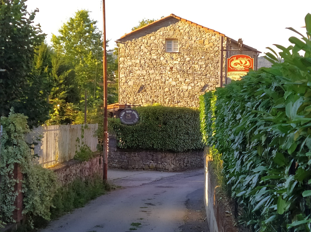 Il Nido della Bionda主图