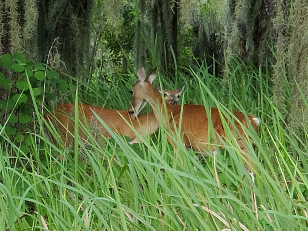 Hardee Lakes Park-Bowling Green必去景点