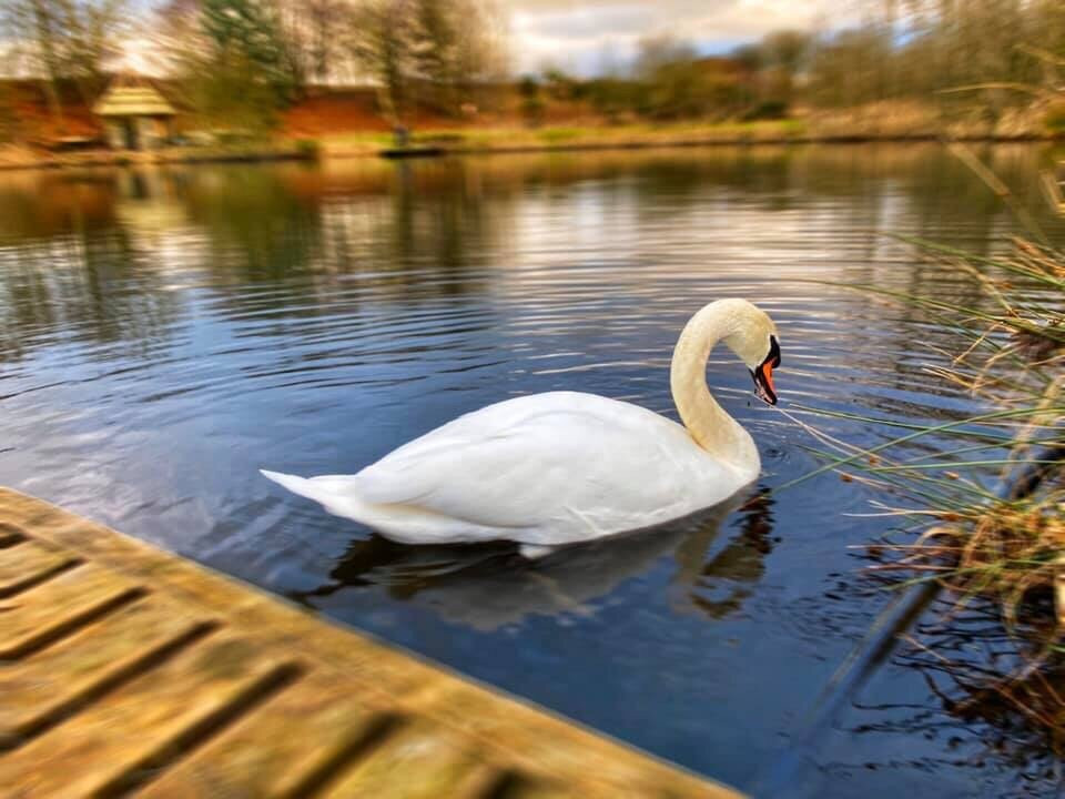 Kinross Trout Fishery & Activity Centre-Kinross必去景点