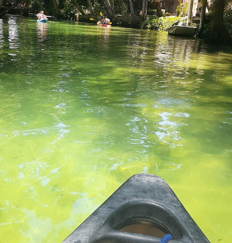 The Kayak Shack景点图片