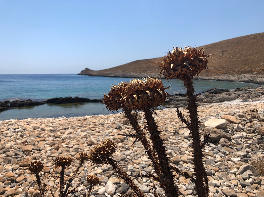 Akrotiri Tenaro Lighthouse-Porto Kagio必去景点