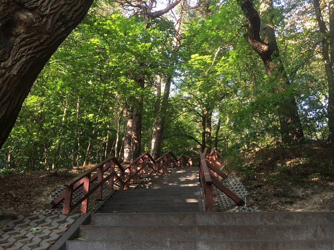 Viewing Tower Pacholek-格但斯克必去景点