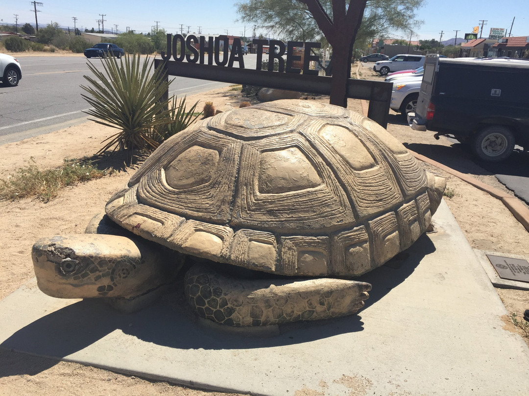 Murtle the Turtle-约书亚树必去景点