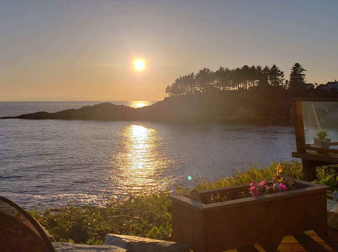 An Ocean Paradise Whales Rendezvous主图