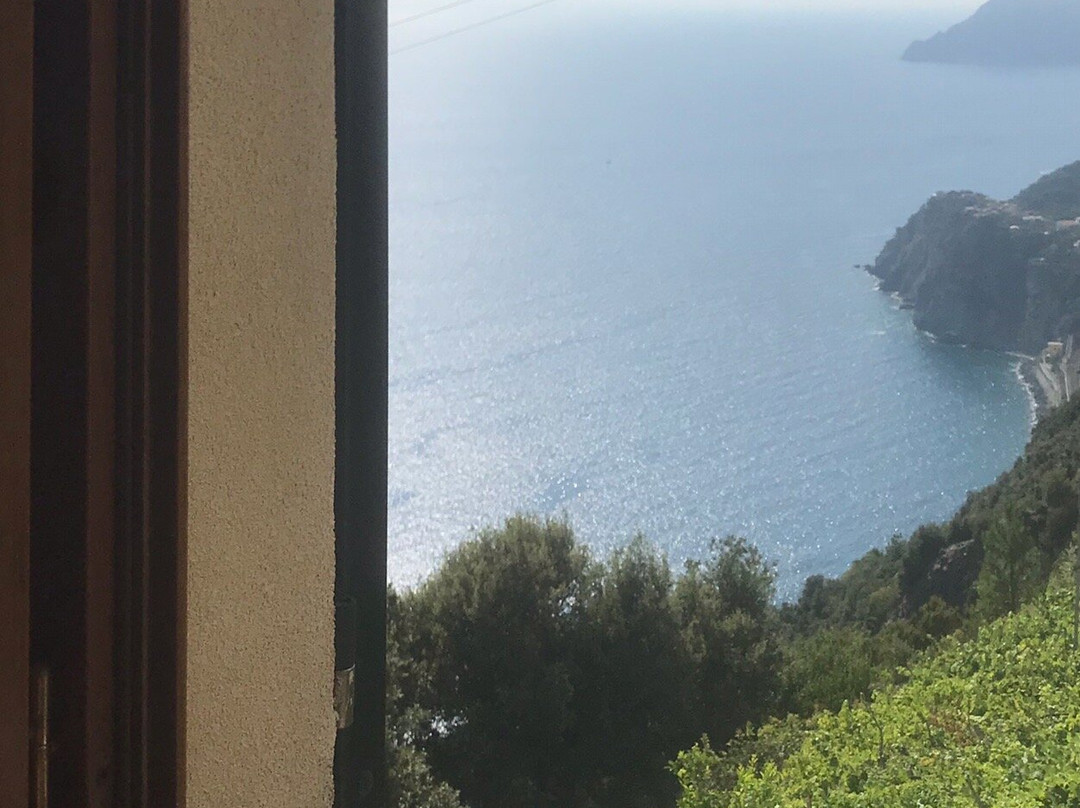 月神迪马索酒店主图