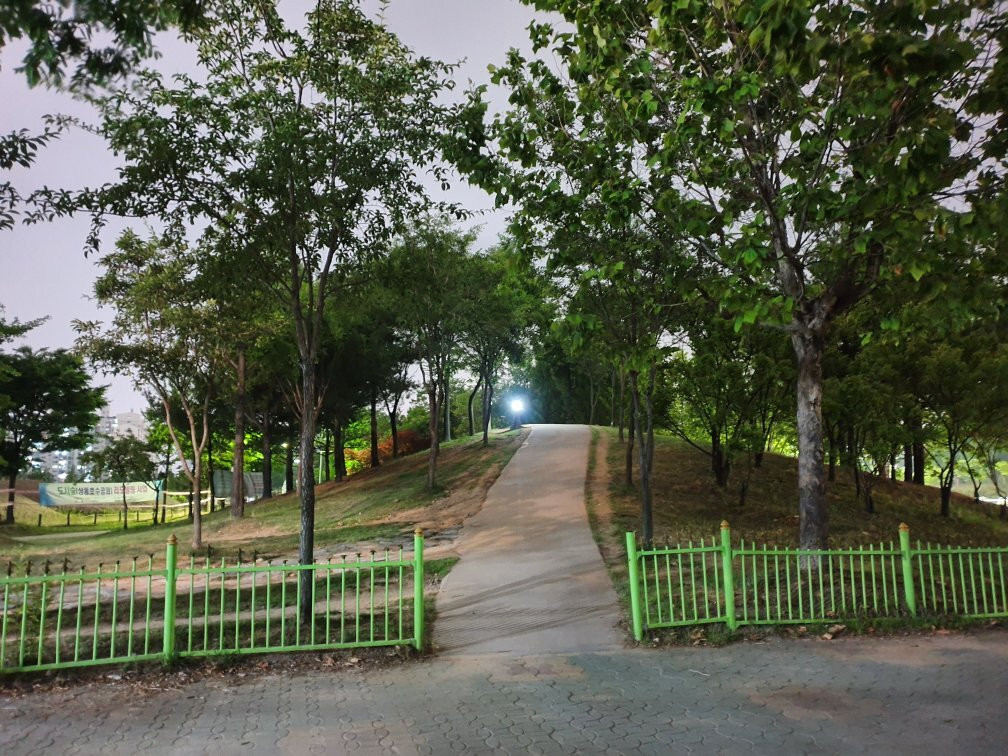 Sangdong Lake Park-富川市必去景点