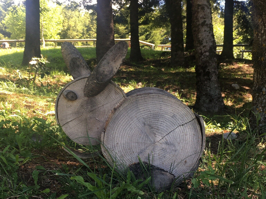 Giardino della Flora Appenninica景点图片