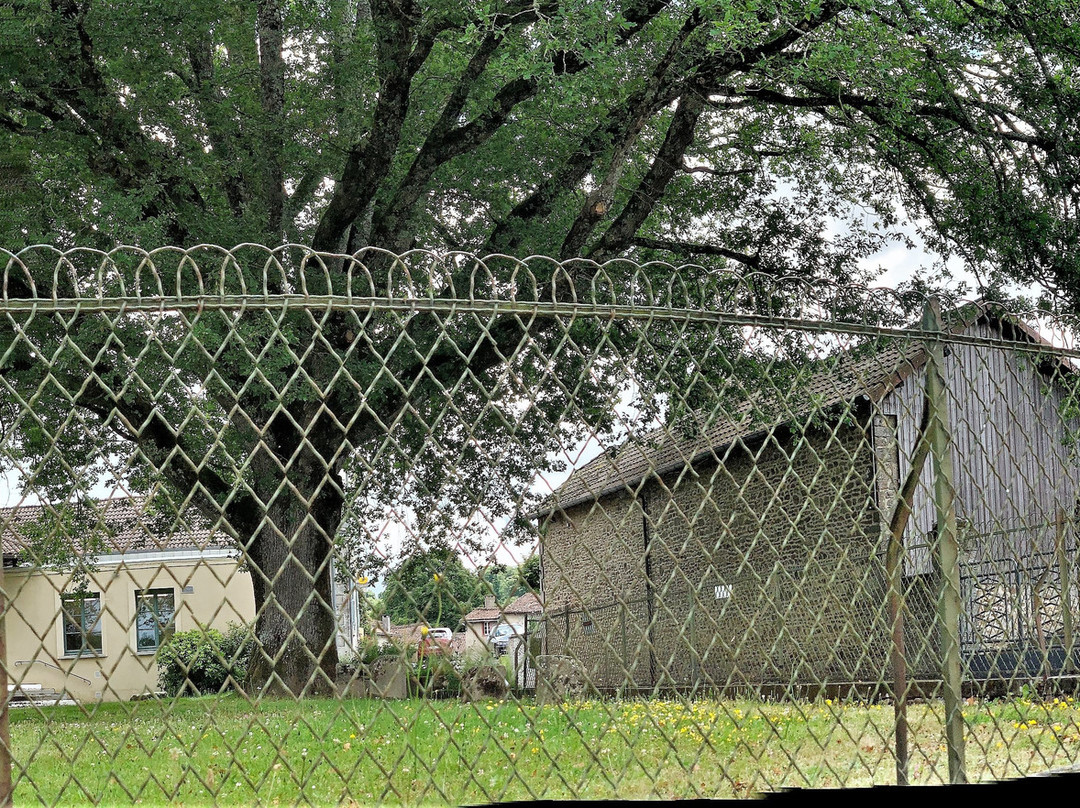 Ancien Cimetière Et Lanterne Des Morts-Rancon必去景点