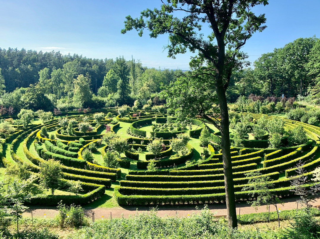 Aboretum Bramy Morawskiej景点图片