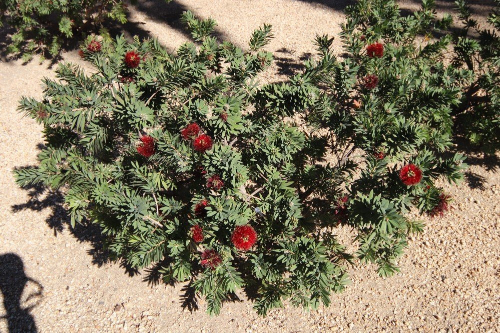 St. Joseph Catholic Church-方塔纳必去景点