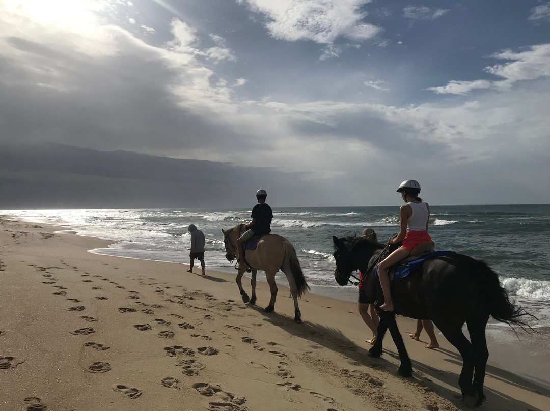 Hatteras Island Horseback Riding景点图片