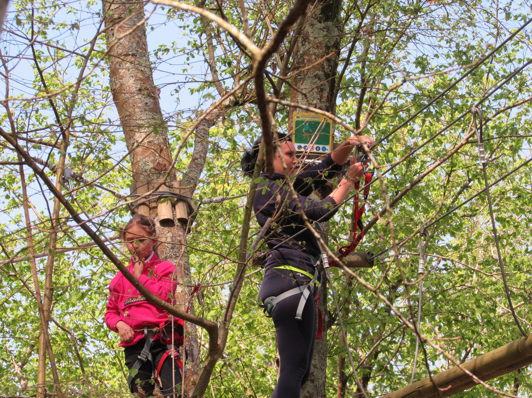 Selva Asturiana Aventura en Llanes-La Pereda必去景点