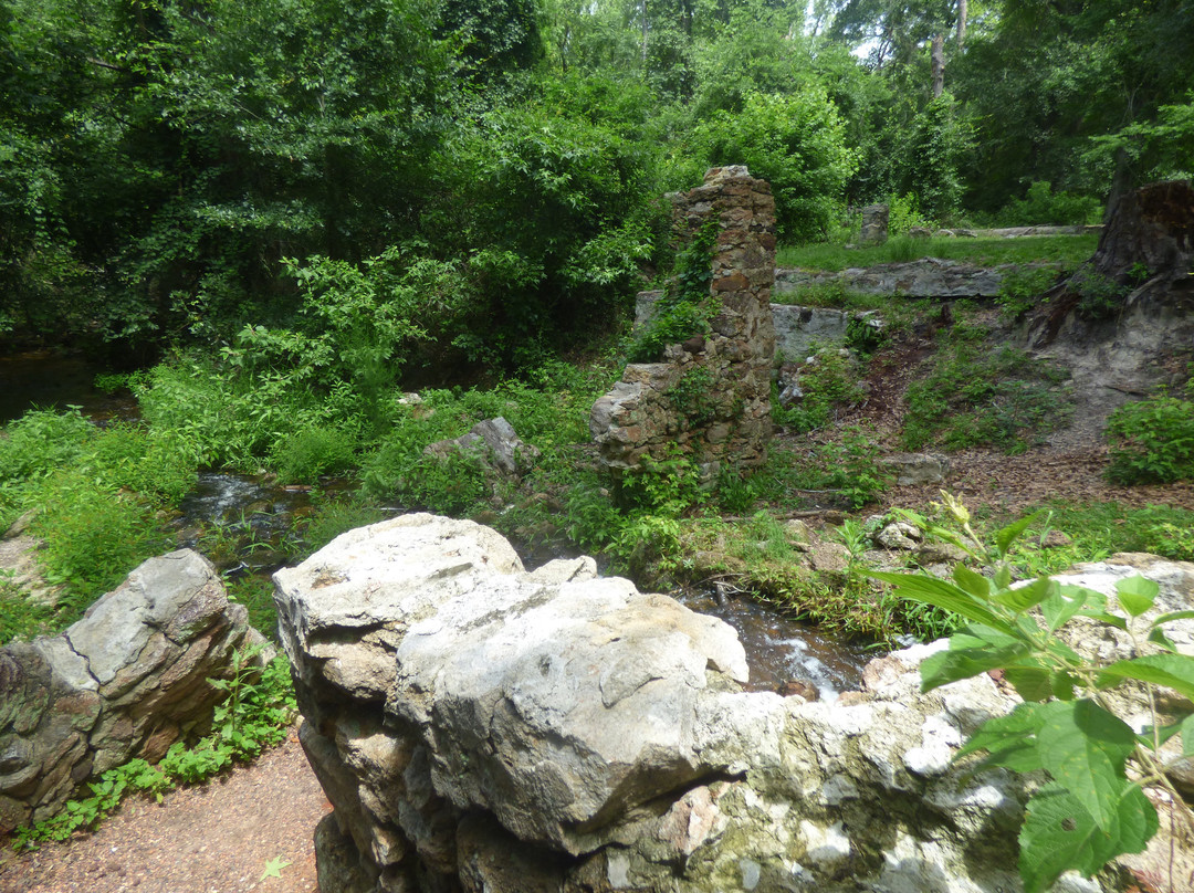 Poinsett State Park-Wedgefield必去景点