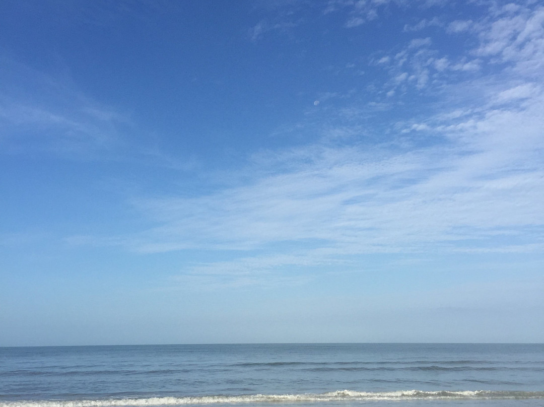 Newton Beach Park-迈尔斯堡海滩必去景点