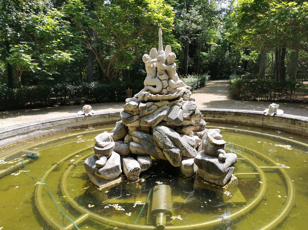 Fuente de Los Cisnes-阿兰胡埃斯必去景点