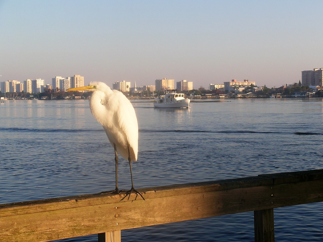 Port Orange Causeway Park景点图片