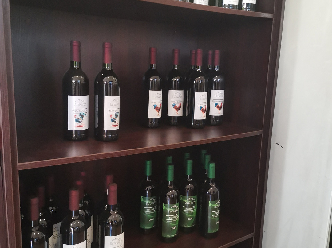 Du'SwaRoo Wine and Olive farm-Calitzdorp必去景点