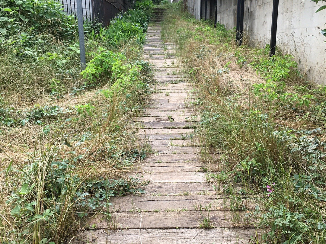 Megurita Ryokudo-东村山市必去景点