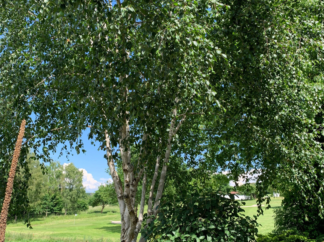 温桑瑟灵登酒店&健身俱乐部主图