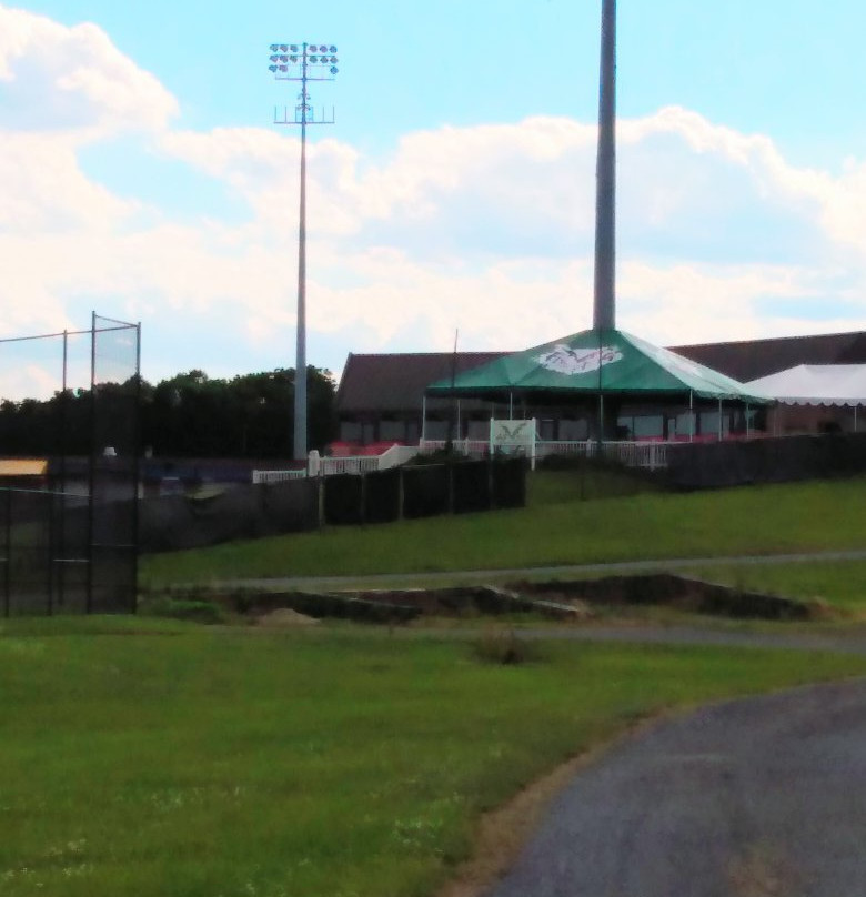 Harry Grove Stadium-弗雷德里克必去景点