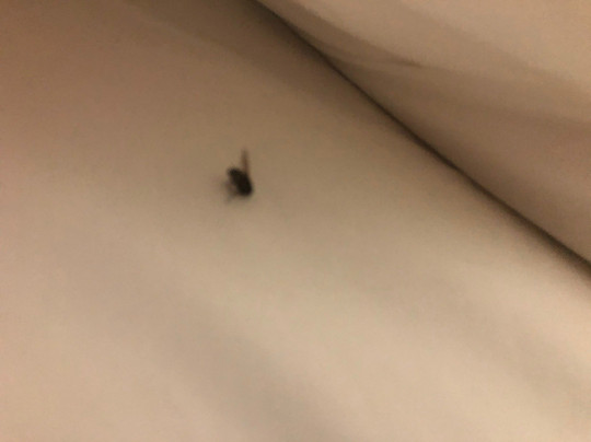 Sandman Hotel Lethbridge主图