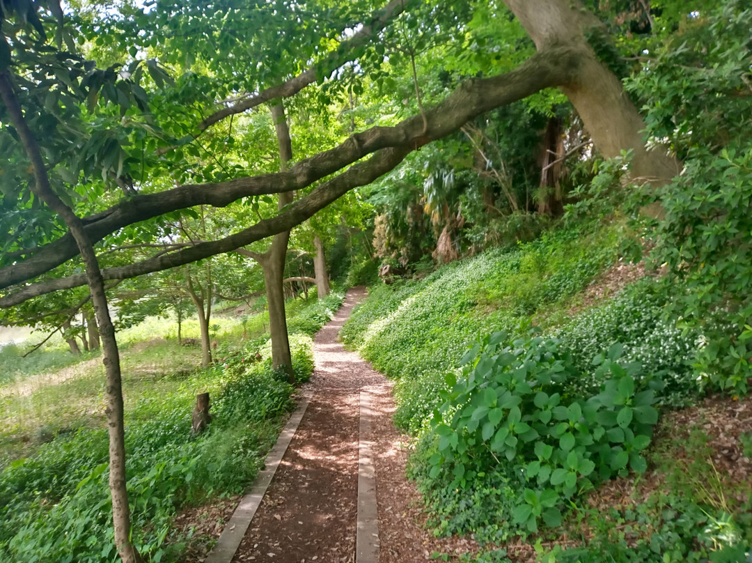 Shingashikawa Furusatono Mori-富士见野市必去景点