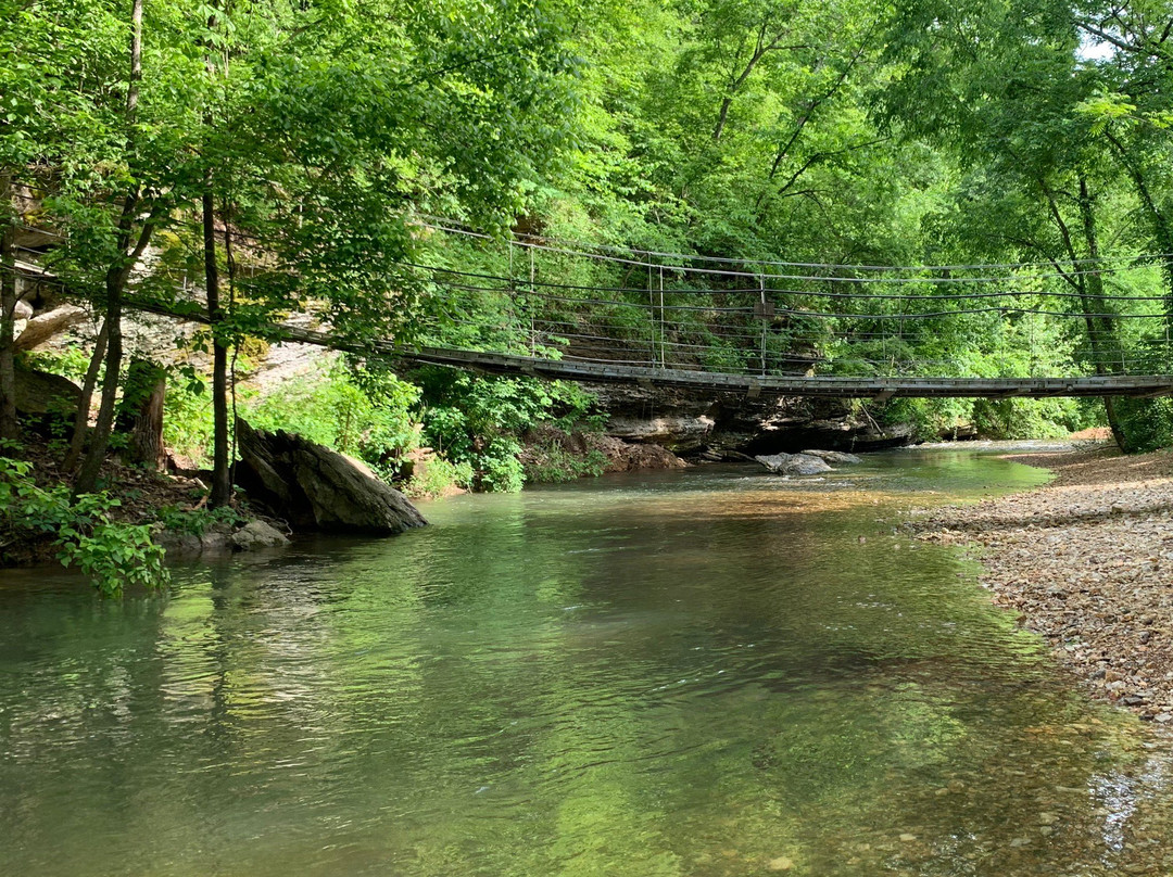 Tanyard Creek Nature Trail景点图片