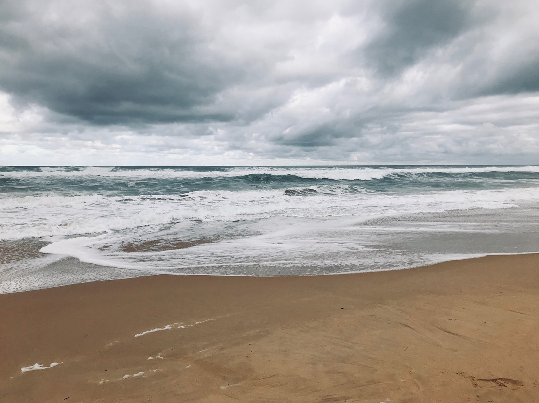 Trinculo Shipwreck-Golden Beach必去景点