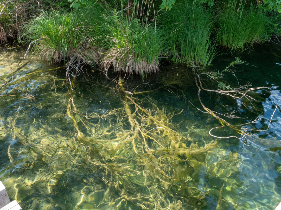 Turlersee-Hausen am Albis必去景点