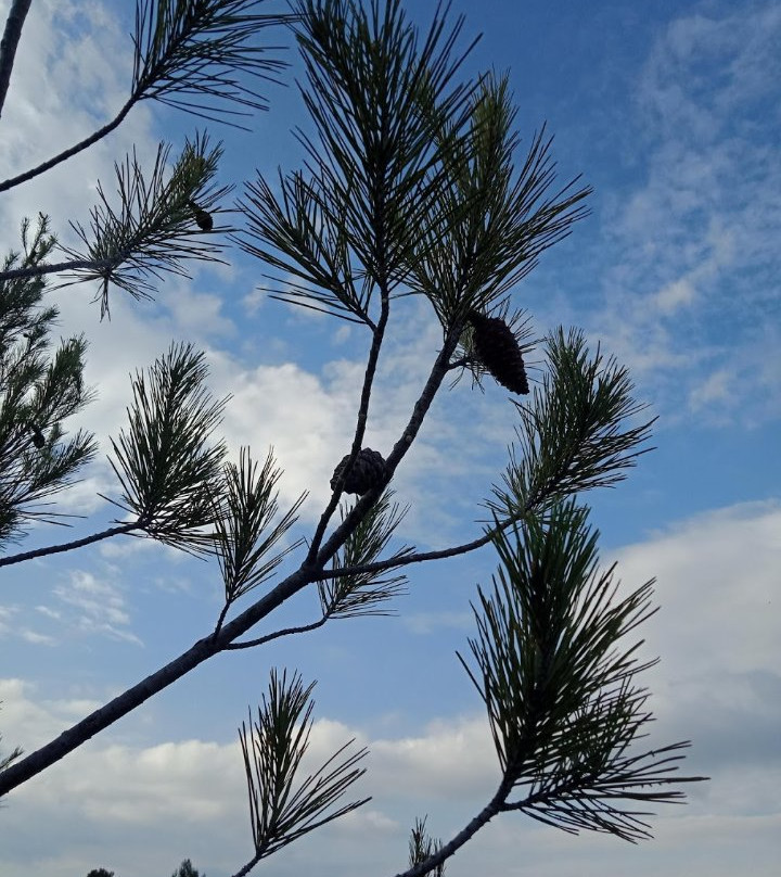 Gites & Chambres d'Hotes du Pont Vieux主图