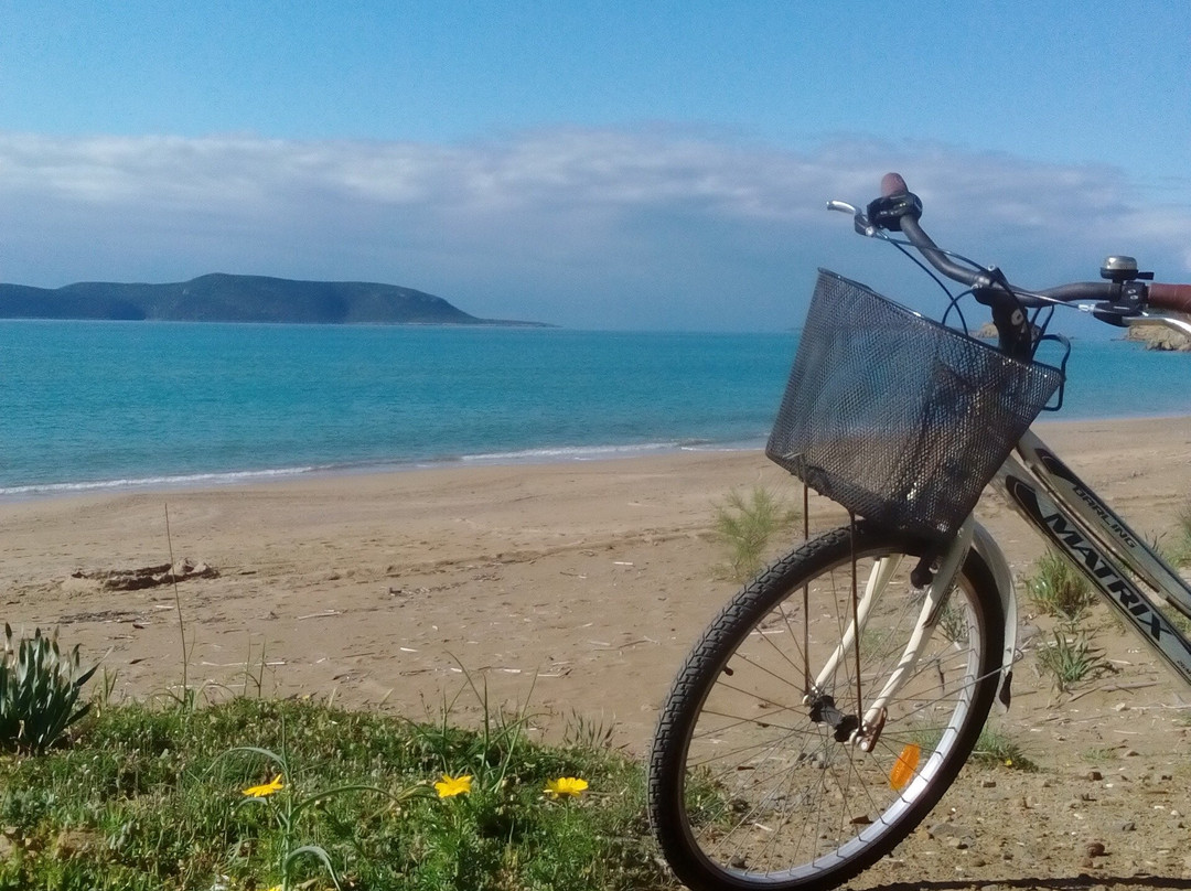 Finibikes景点图片