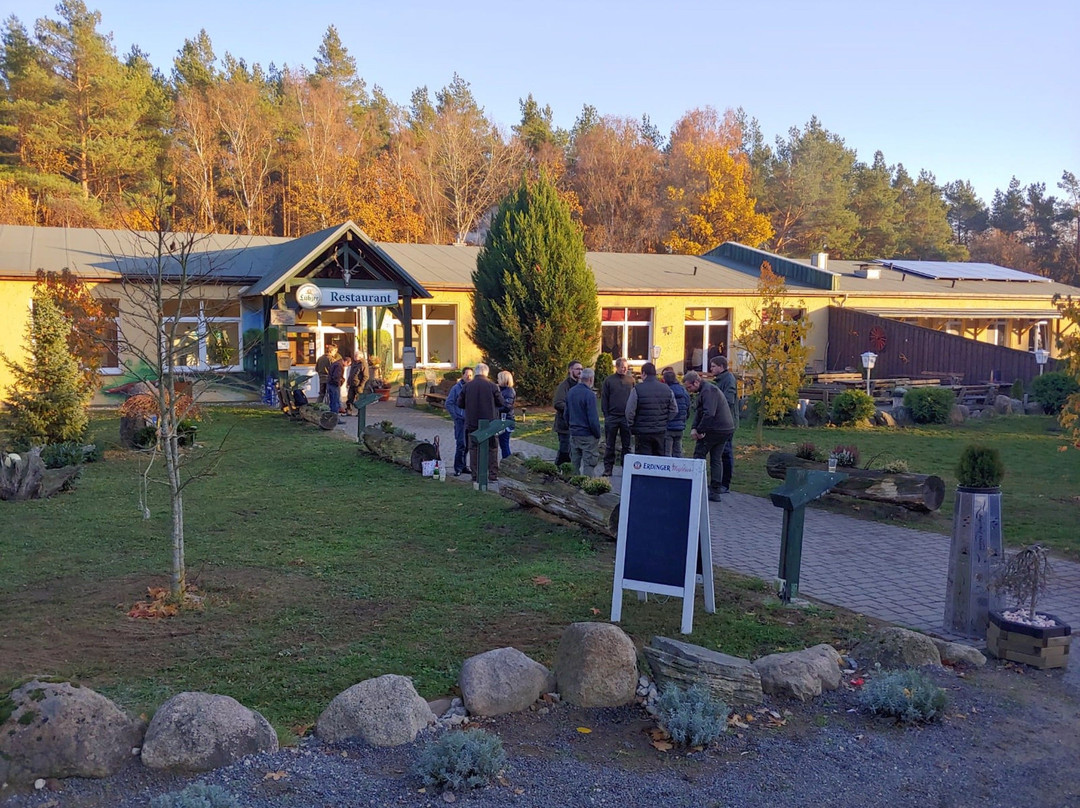 Kalkhorst旅游攻略图片
