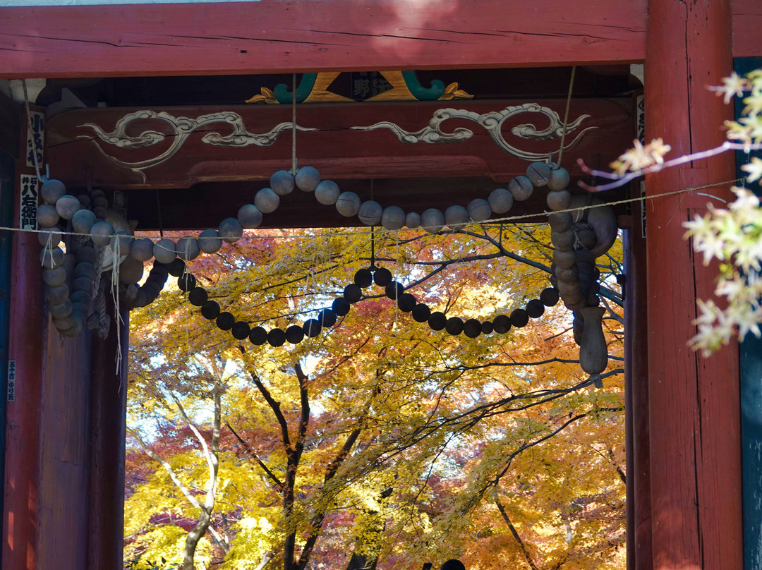 Hondo-ji Temple-松户市必去景点