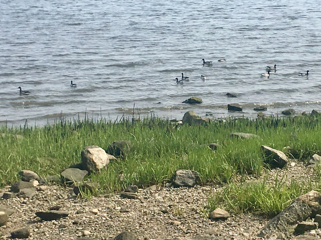 Veteran's Memorial Park and Marina-诺沃克必去景点