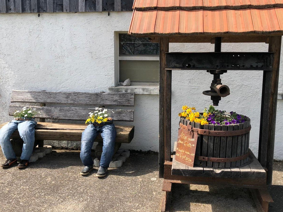 Schlier旅游攻略图片