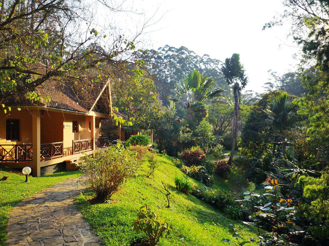 Vakona Forest Lodge主图