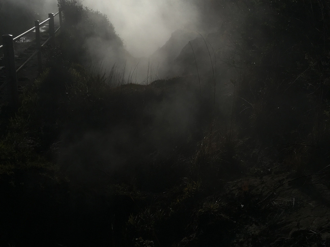 Sulphur Banks-夏威夷火山国家公园必去景点