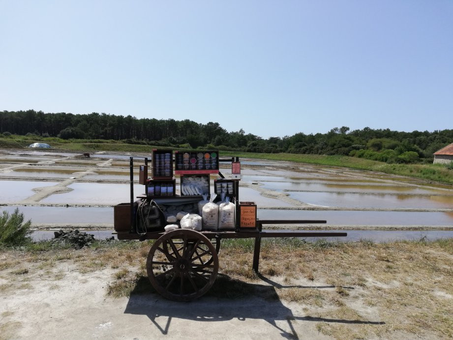 Le Petit Train des Marais Salants-La Turballe必去景点