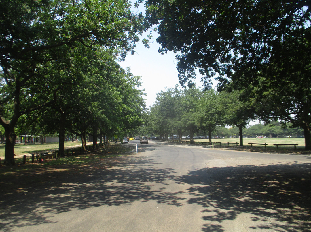 Victoria Park-巴拉瑞特必去景点