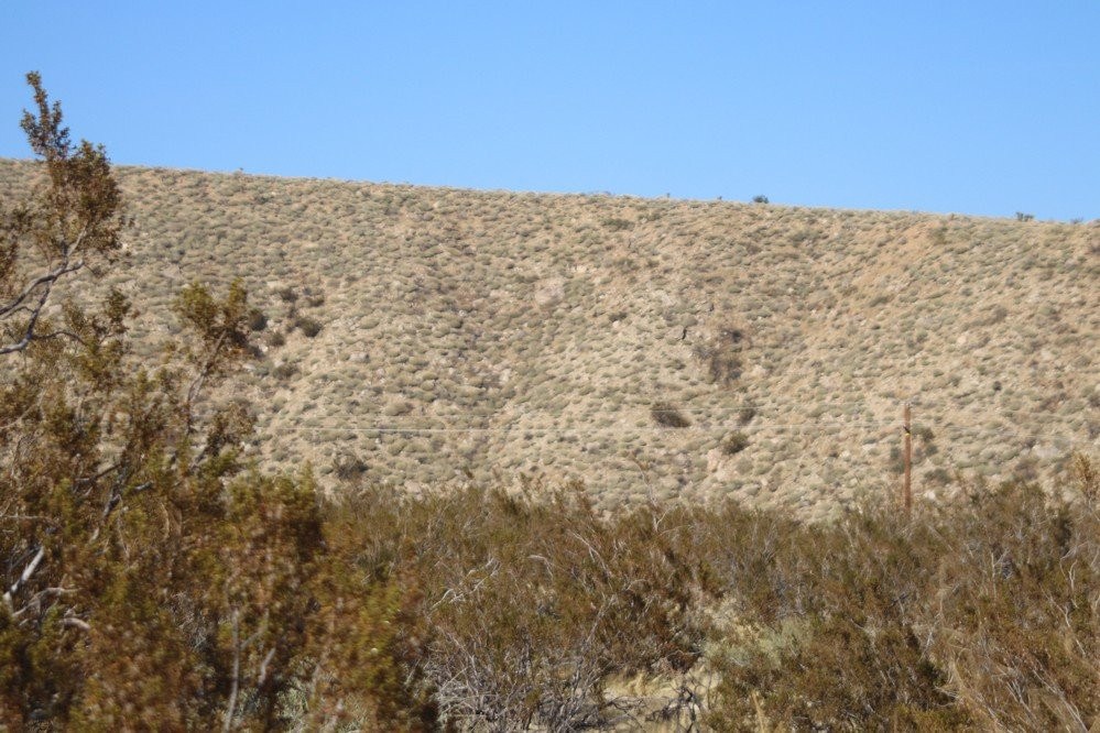 Mission Creek Preserve-沙漠温泉必去景点